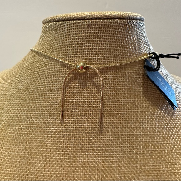 NWT Nordstrom Necklace gold w/ chain tassel on round pendant, sliding ball close - Picture 13 of 13